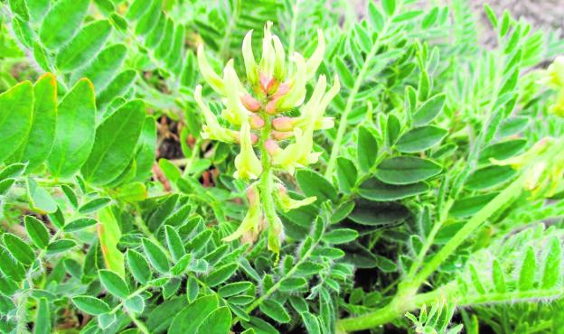 La biblioteca regional que guarda las mejores obras de nuestra naturaleza