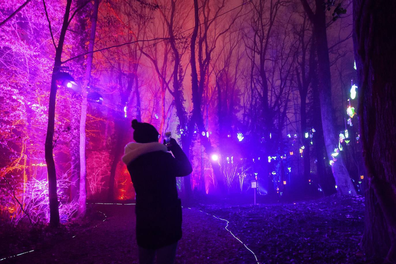 Festival de Luces Broye Luminis