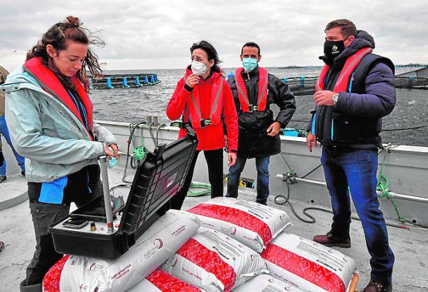 Un sistema inteligente pionero reduce el impacto ambiental y el coste de la acuicultura