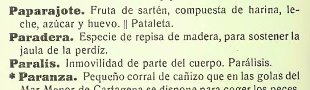 El otro paparajote que la Academia desconoce