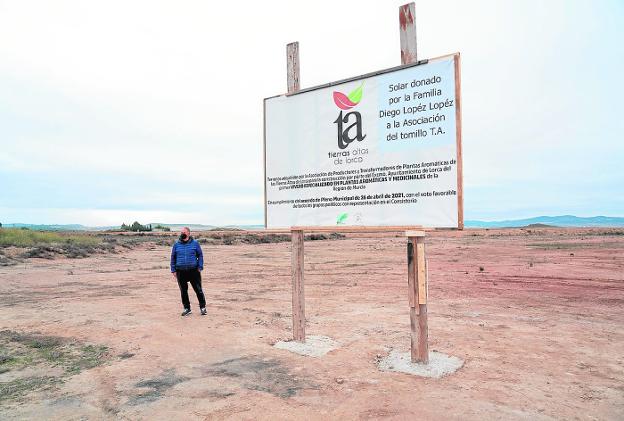 El primer vivero de plantas aromáticas de la Región de Murcia abrirá en la pedanía lorquina de La Paca