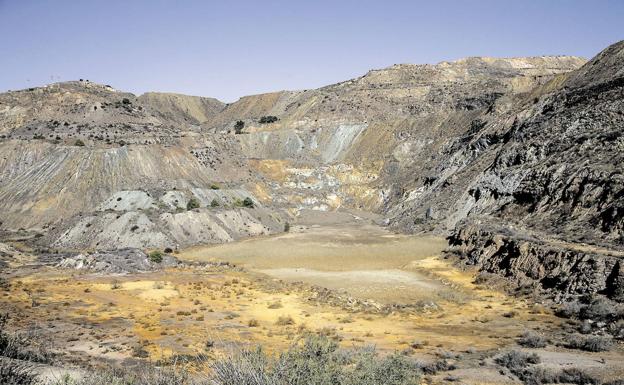 CaixaBank y Fundación Cajamurcia apoyan cuatro proyectos medioambientales en la Región de Murcia