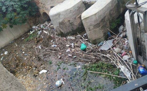 Denuncian ante el Seprona la acumulación de basuras y peces muertos en el agua de riego de la acequia Alquibla