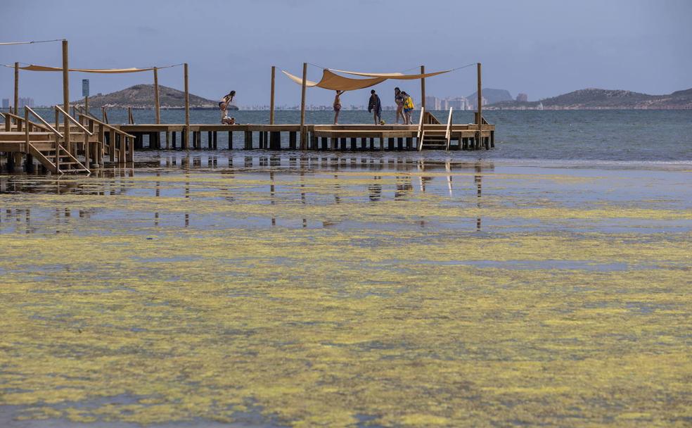 JULIO. La postal de la vergüenza en el Mar Menor