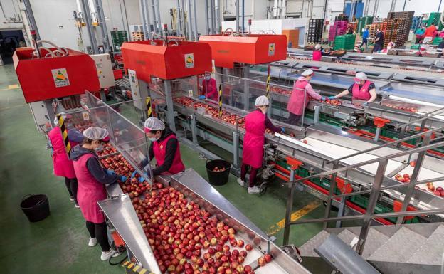 La exportación de frutas y hortalizas crece un 4% y superará los 15.200 millones de euros este año