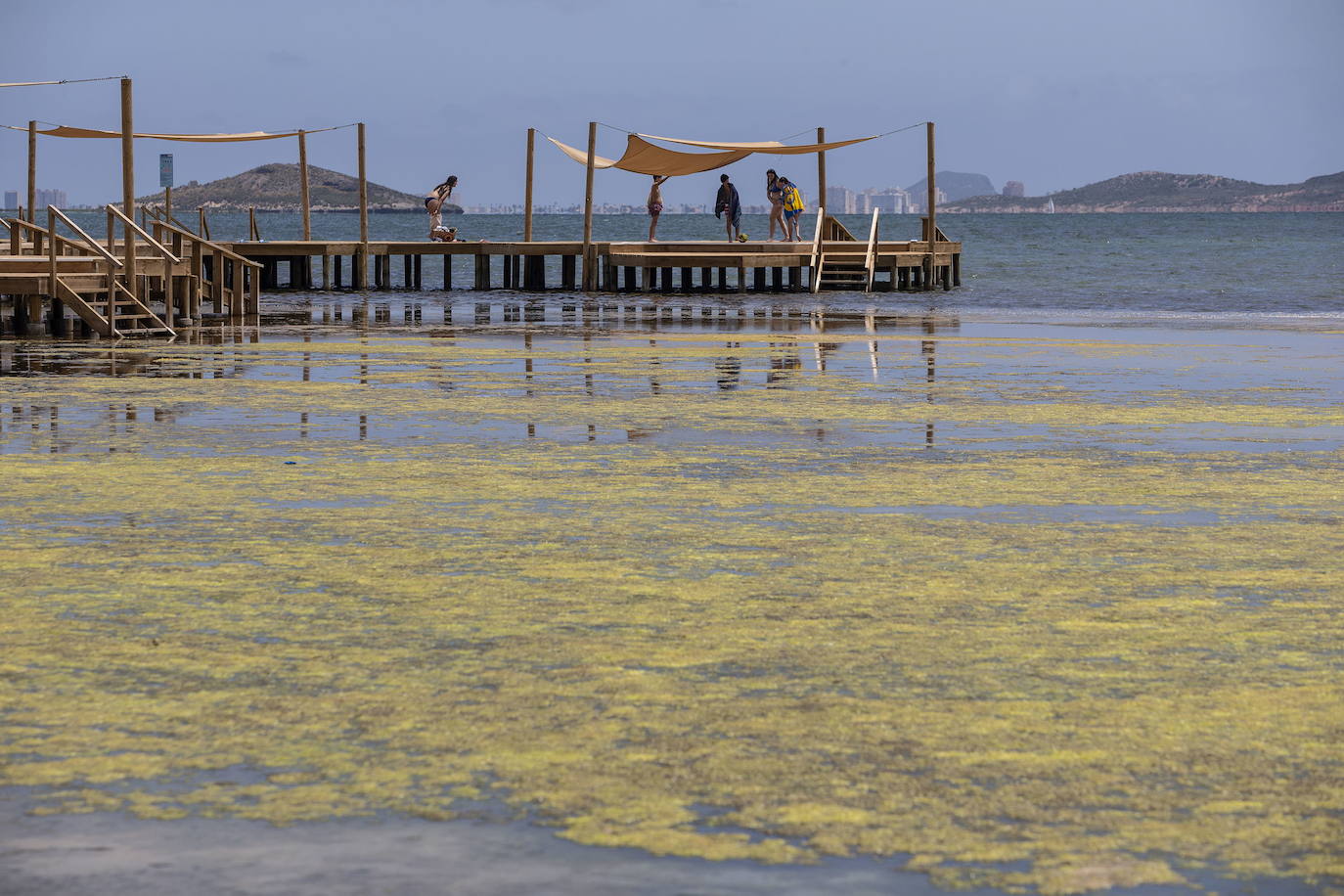 JULIO. La postal de la vergüenza en el Mar Menor