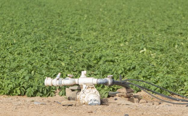 El Ministerio subvencionará el agua desalada en función del coste de la electricidad