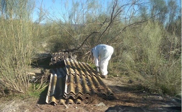 Recogidas en Lorca 33 toneladas de residuos que fueron vertidos a las ramblas de Biznaga y Béjar