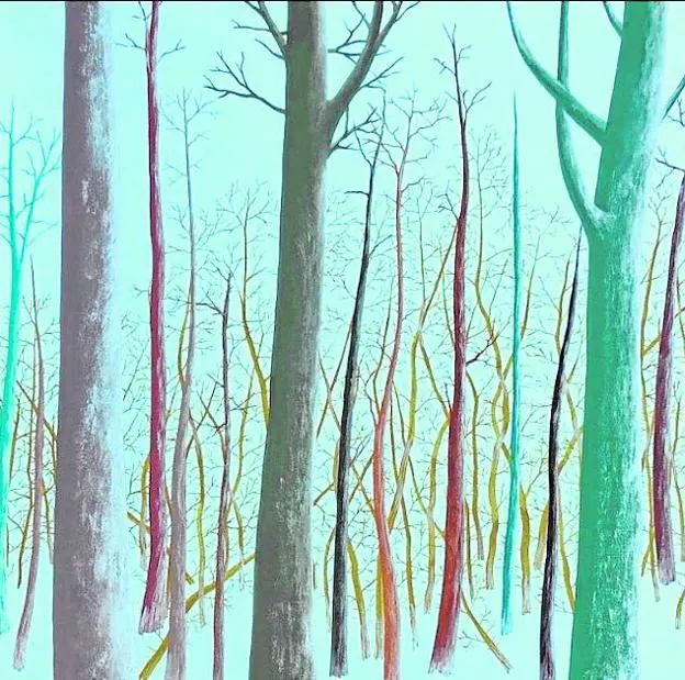 Un invierno entre ramas y troncos desnudos
