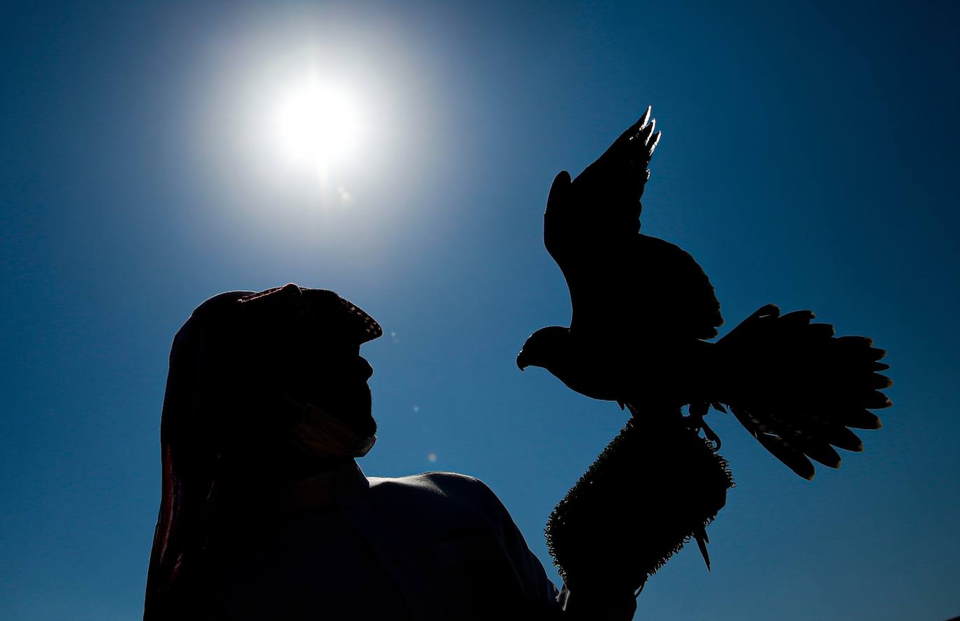 Campeonato de Cetrería en Dubái