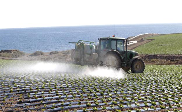 Los planes de gestión de Calblanque, Cope y El Valle arrancan con la consulta pública