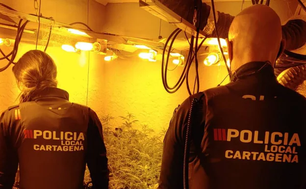 Two agents in front of the marijuana plantation, in the La Concepción neighborhood of Cartagena. 
