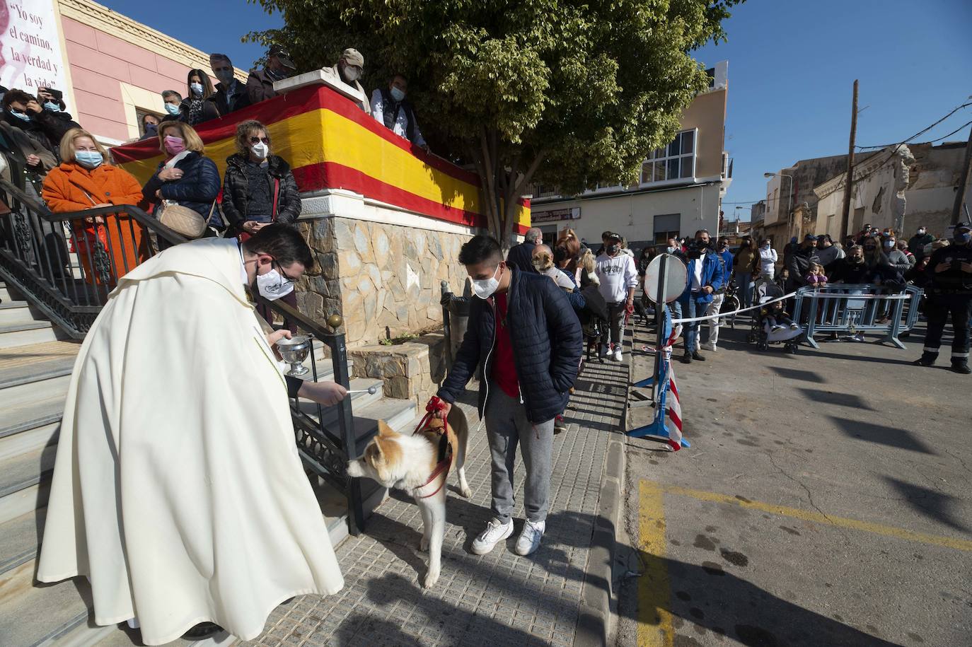 San Antón recupera las bendiciones en Cartagena