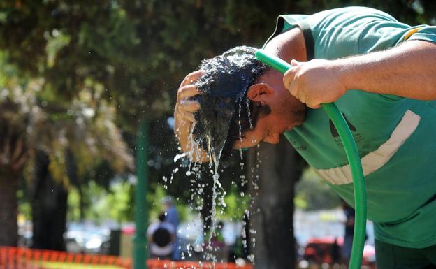 La UPCT analiza en un congreso respuestas al cambio climático