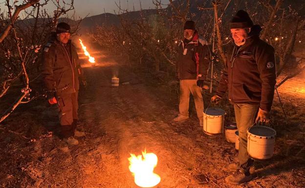 Las heladas mantienen en vilo a los agricultores de la Región