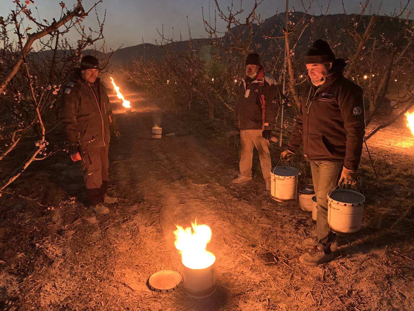 Fuego contra las heladas en Cieza