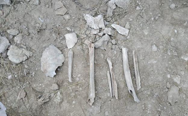 Hallan unos restos óseos de unos tres siglos de antigüedad junto a la iglesia vieja de Campos del Río
