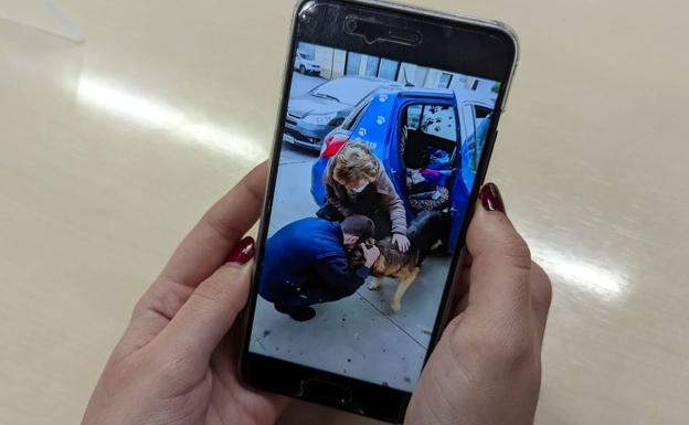 Una mujer ayuda a reunir a una familia con su perro después de estar siete años perdido