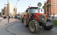 La manifestación de los ganaderos en Lorca, en imágenes