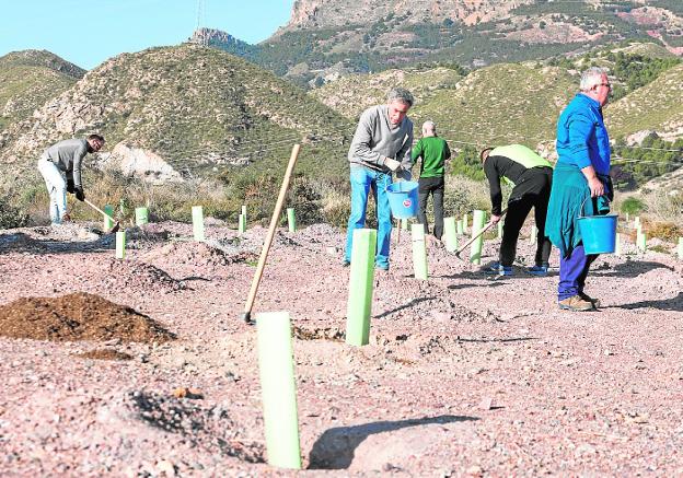 El parque forestal Lorca Sur se abre camino entre toneladas de escombros