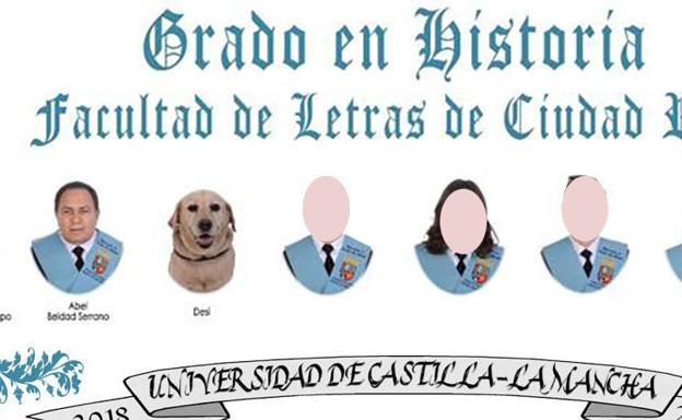 Desi, la perra guía que se ha 'graduado' en Historia en la Universidad de Castilla-La Mancha