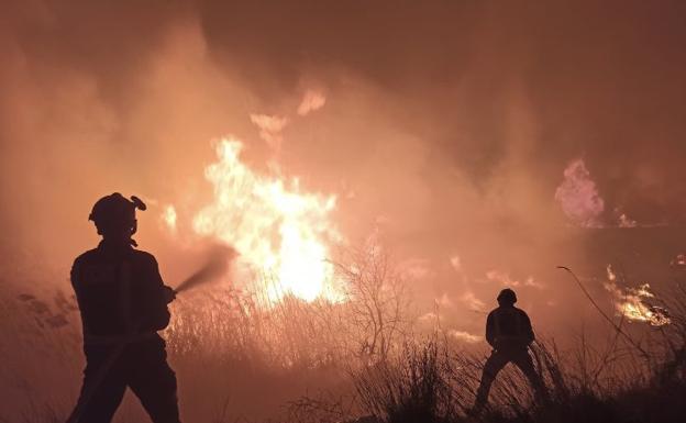 Los bomberos apagan un incendio de cañas en Ceutí