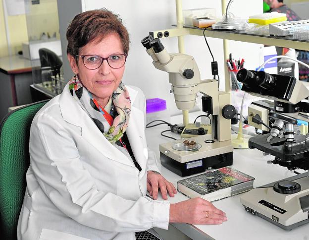 Trabajar con la naturaleza que no se ve