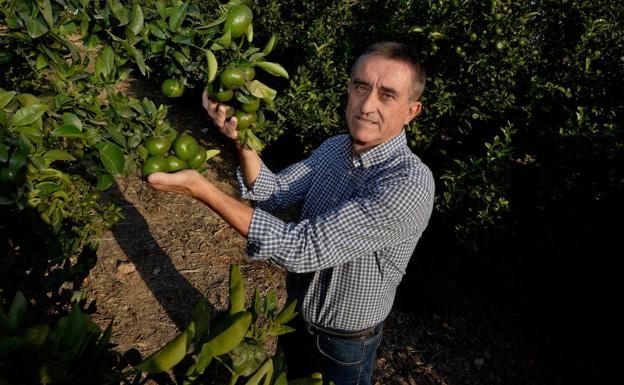 El Supremo falla en favor del agricultor murciano frente al rey de Marruecos