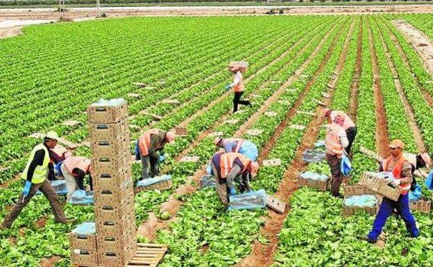 AgroBank adelanta a agricultores y ganaderos las ayudas de la PAC 2022