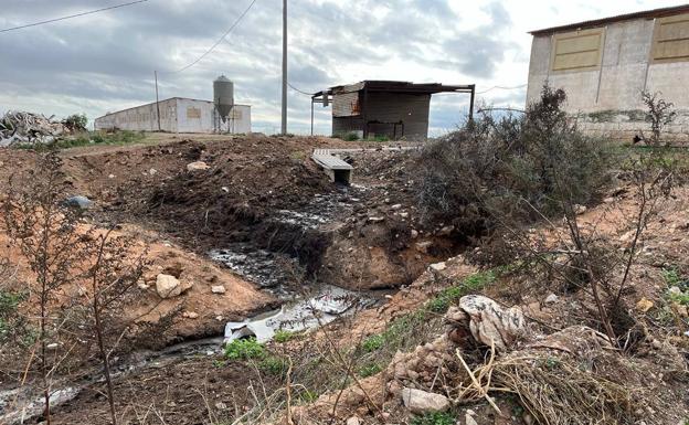 Slurry trail next to a pig farm in Campo de Cartagena investigated by the authorities, in a photograph of the last few days. 