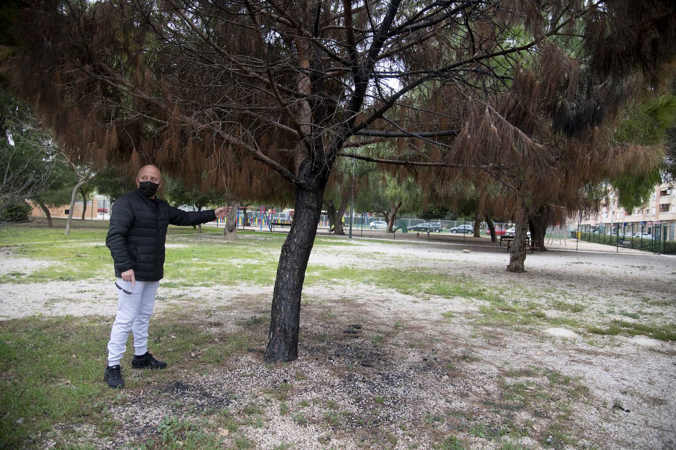 Los continuos actos vandálicos irritan y ponen en guardia a los vecinos de Nueva Cartagena