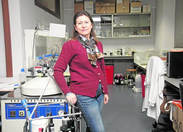 ¿Desde dónde llegan los solutos al Mar Menor?