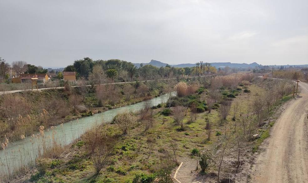 Mejor plantar árboles que tirarse piedras