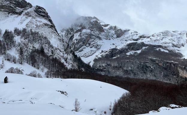 La agitación de lo natural