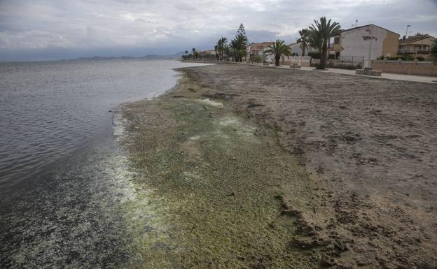 Una delegación del Parlamento Europeo visitará el Mar Menor para analizar su degradación ambiental