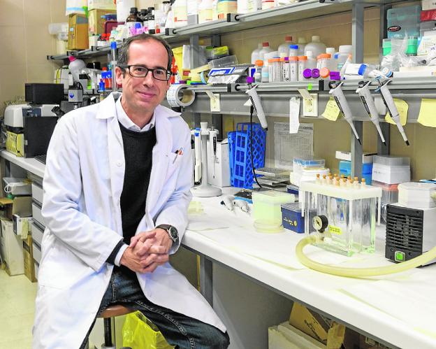 ¿Y si las plantas guardan el secreto para acabar con algunas enfermedades?