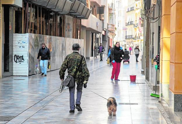 La nueva ordenanza de Cartagena sobre animales castiga el «maltrato psicológico»