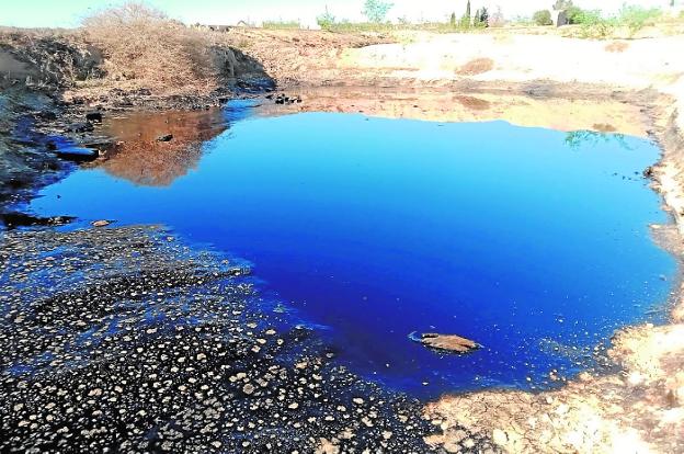 Alerta ante los niveles de clorofila junto a la rambla del Albujón