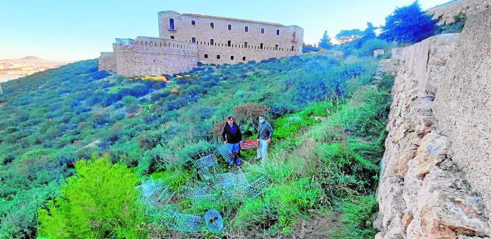 Una fortaleza de intereses para recuperar un bosque