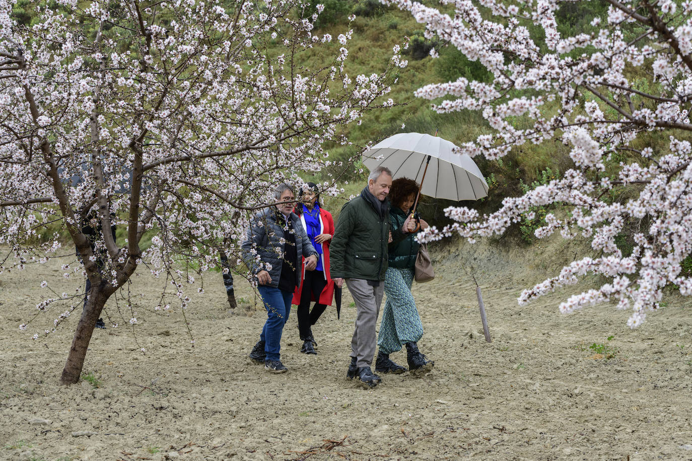 Cristóbal Gabarrón pinta un mural de 27 metros cuadrados en Mula