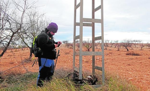 Voluntarios en busca de aves muertas por tendidos eléctricos
