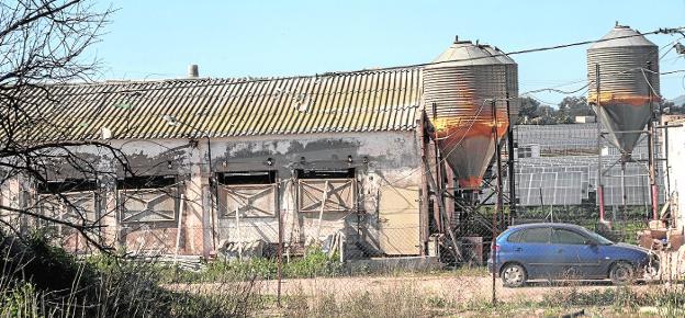 Destapan nuevos vertidos de purines y balsas sin impermeabilizar en Cartagena