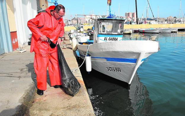 Abren la veda de la anguila en el Mar Menor para pescar tres toneladas en marzo