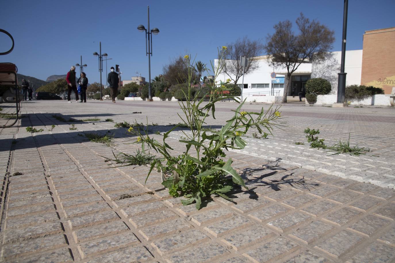 Quejas en el barrio de Santa Lucía de Cartagena