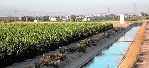 La desalación y los pozos alejan el peligro de restricciones a la población pese a la sequía