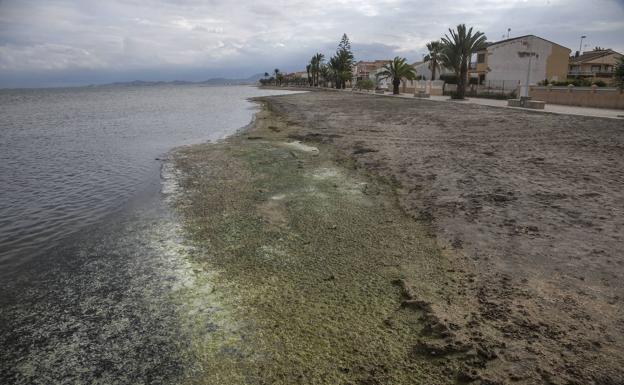 El TSJ obliga a la Comunidad a sancionar a ocho firmas por sus vertidos al Mar Menor