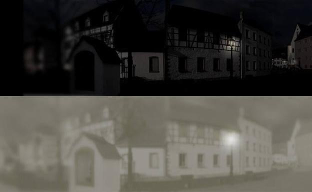 Así es como ven realmente los gatos