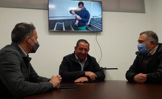 Los productores de porcino de Lorca entran en pérdidas por la subida de precios