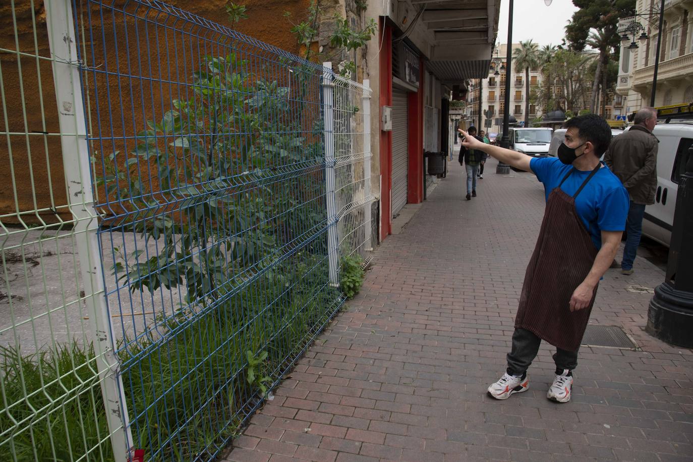 Solares de Cartagena acumulan basura, maleza e insectos