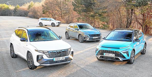 Una gama que triunfa